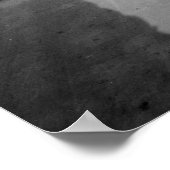 1890 Vist Poster (Hoek)