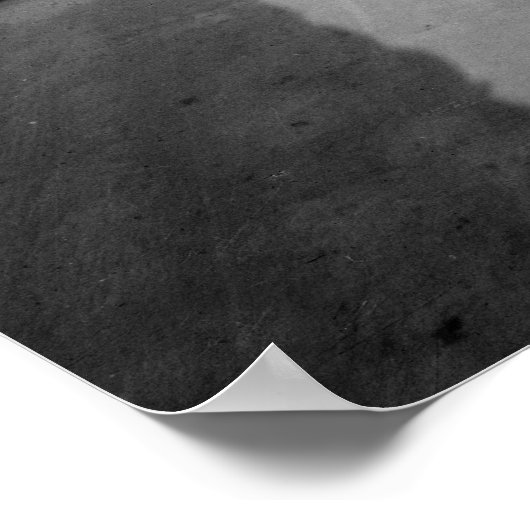 1890 Vist Poster (Hoek)