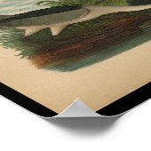 1890 Vogelafdrukken Night Heron Poster (Hoek)