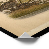 1890 vogelafdrukken Wilsons Snipe Poster (Hoek)