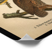 1890 Vogeldraden afdrukken - Grote hoornvliezen Poster (Hoek)