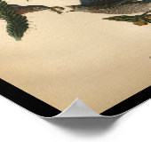 1890 Vogeldrager afdrukken Gemeenschappelijk blauw Poster (Hoek)