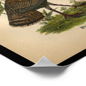 1890 Vogelprinten Wilde Turkije Poster (Hoek)