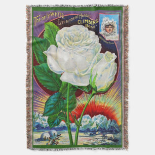1890s roos catalogusillustratie Witte Rose Deken