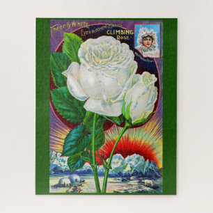 1890s roos catalogusillustratie Witte Rose Legpuzzel