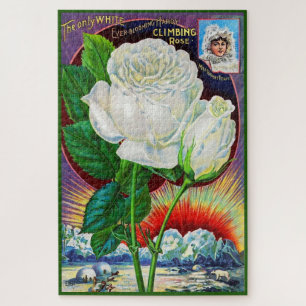 1890s roos catalogusillustratie Witte Rose Legpuzzel