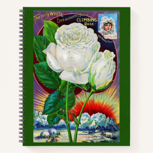 1890s roos catalogusillustratie Witte Rose Notitieboek