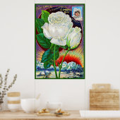 1890s roos catalogusillustratie Witte Rose Poster (Keuken)