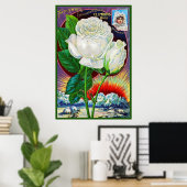 1890s roos catalogusillustratie Witte Rose Poster (Thuiskantoor)