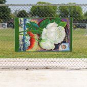 1890s roos catalogusillustratie Witte Rose Spandoek (Insitu)