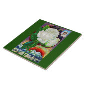 1890s roos catalogusillustratie Witte Rose Tegeltje (Zijkant)