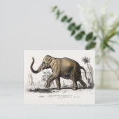  1892 Asiatische olifantenillustratie Briefkaart (Staand voorkant)