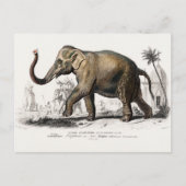  1892 Asiatische olifantenillustratie Briefkaart (Voorkant)