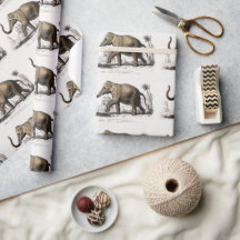  1892 Asiatische olifantenillustratie