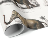  1892 Asiatische olifantenillustratie Cadeaupapier (Rol Hoek)