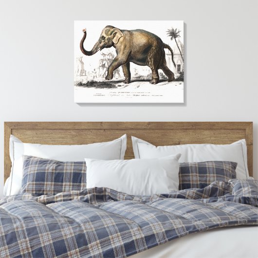  1892 Asiatische olifantenillustratie Canvas Afdruk (Insitu (Slaapkamer))