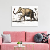  1892 Asiatische olifantenillustratie Canvas Afdruk (Insitu (Woonkamer))