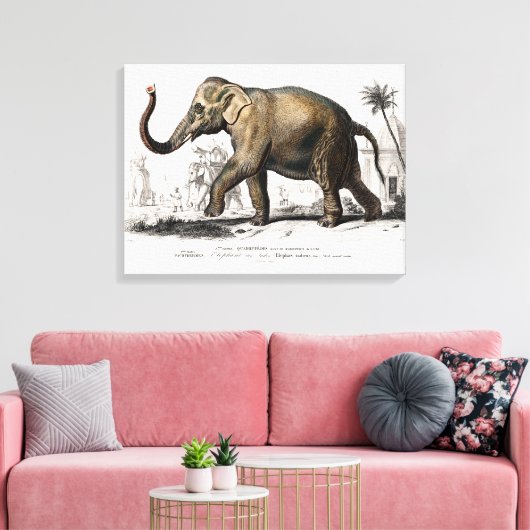 1892 Asiatische olifantenillustratie Canvas Afdruk (Insitu (Woonkamer))