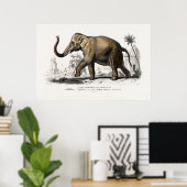  1892 Asiatische olifantenillustratie Poster (Thuiskantoor)