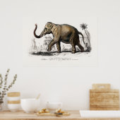  1892 Asiatische olifantenillustratie Poster (Keuken)