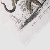  1892 Asiatische olifantenprinter, losse pagina Tissuepapier (Detail)