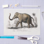  1892 Asiatische olifantenprinter, losse pagina Tissuepapier (Craft)