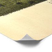 1893 Aerial Map Royersford PA Pennsylvania Poster (Hoek)