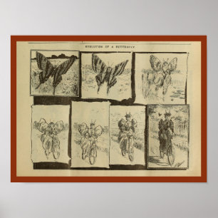 1893  fietsenmagazijn en kunstwerk Poster