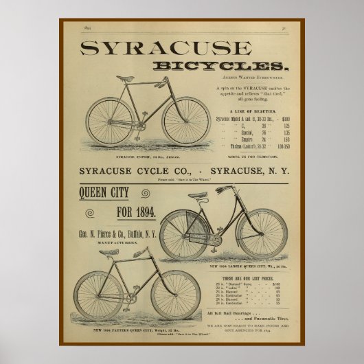 1893  fietsenmagazijn en kunstwerk Poster (Voorkant)