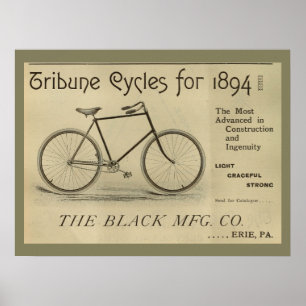 1893 fietsenmagazijn en kunstwerk Poster
