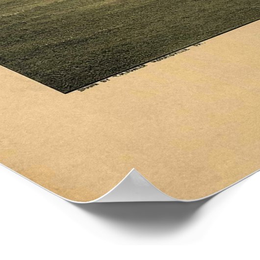 1893 Panoramic Map Pottstown PA Pennsylvania Poster (Hoek)