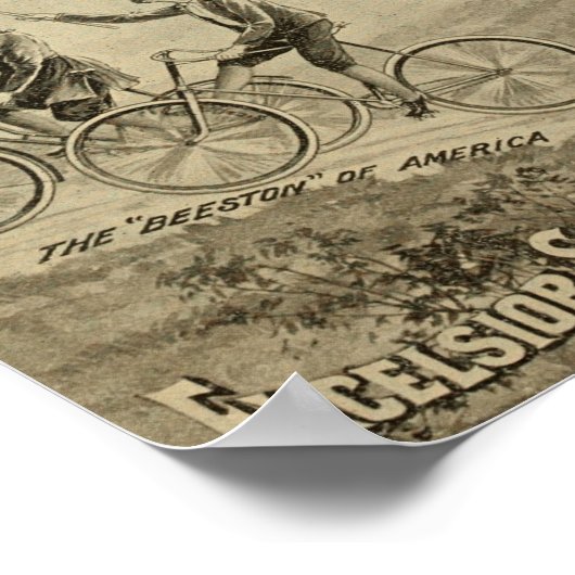 1894  Excel-voedingscyclus en kunstdrukken Poster (Hoek)