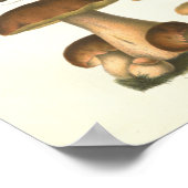 1894 Paddenstoelenvariëteit Fungus Print in het Du (Hoek)