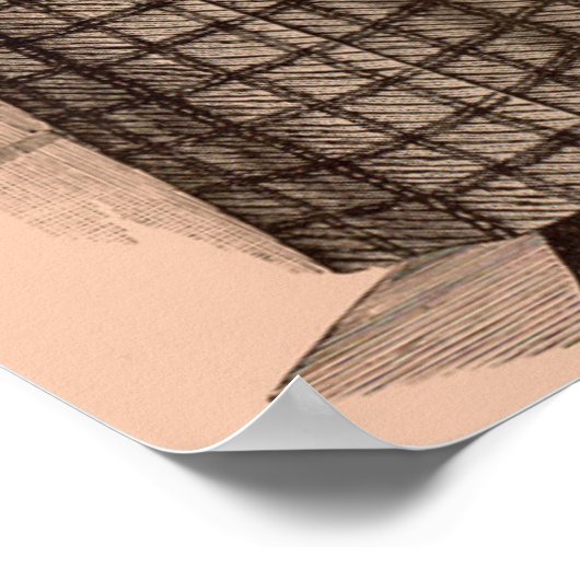 1895 Afdrukdamesjas en -jurk Poster (Hoek)