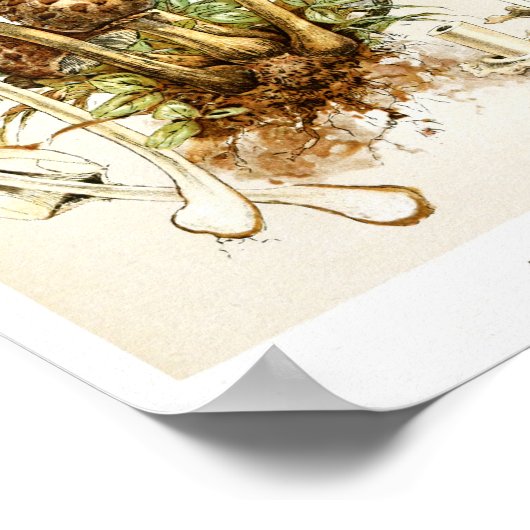  1895 champignons, bruin Pet, afdrukken Poster (Hoek)