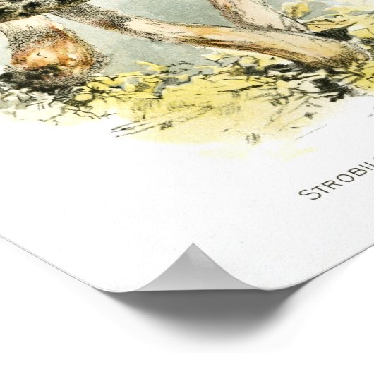  1895 champignons met bruine verrijkte kunst poster (Hoek)