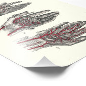 1895 Menselijke anatomie Afdrukhanden Foto Afdruk (Hoek)