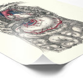 1895 Menselijke anatomie Afdrukhart Foto Afdruk (Hoek)