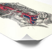 1895 Menselijke anatomie printarteries Foto Afdruk (Hoek)