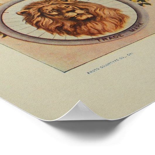 1895 Monboogfietsen en kunstdrukken Poster (Hoek)