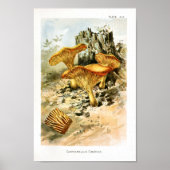 1895 paddenstoelen met bruin geel kunstwerk poster (Voorkant)