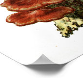 1895 paddenstoelen met bruine boomschimmel Kunst Poster (Hoek)