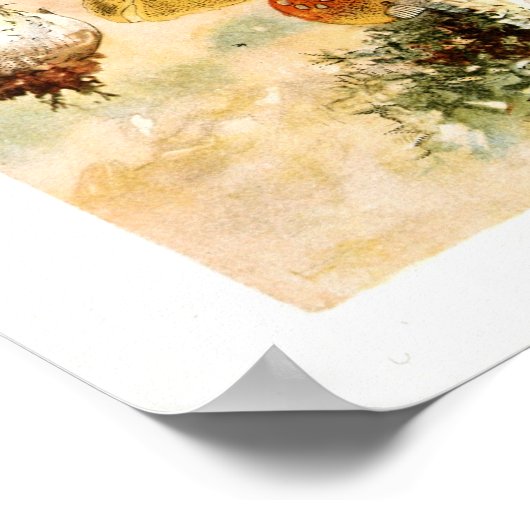  1895 Paddenstoelen Rood geel afdrukken Poster (Hoek)