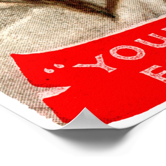 1895 Snoedvis Poster (Hoek)