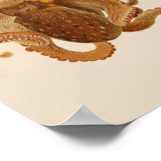 1896  kleureninktkunst poster (Hoek)