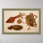 1896 kleureninktpatroon met inktpatroon poster (Voorkant)