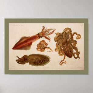 1896  kleureninktpatroon met inktpatroon poster