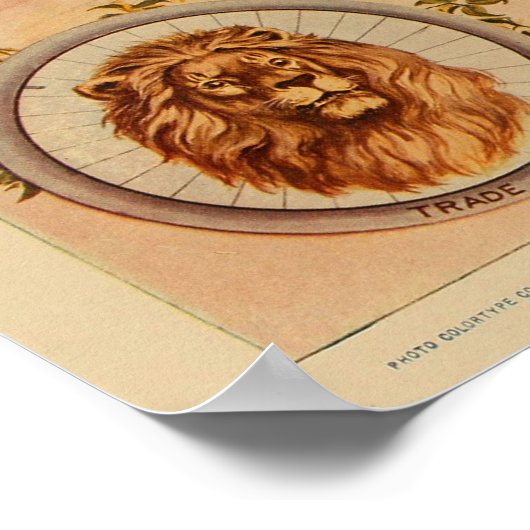 1896  kleurenmonboogfietsen en kunstwerk Poster (Hoek)