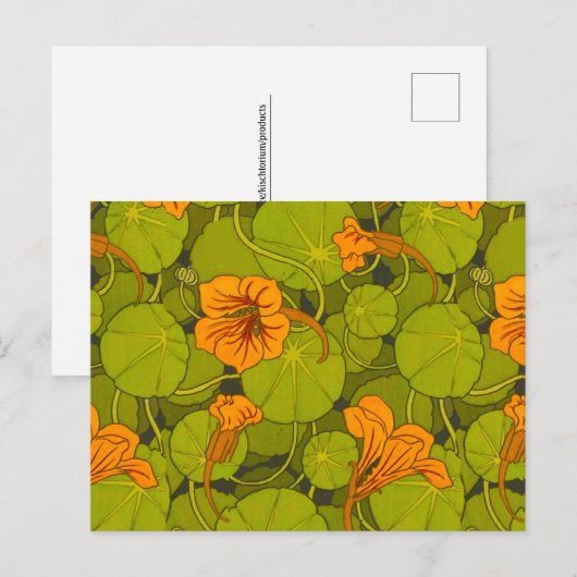 1896 Victoriaans Nasturtium Floral Print Briefkaart (Voorkant / Achterkant)