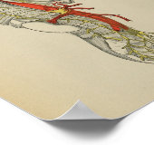 1898 Anatomical Sympathetic Nerve Print (Hoek)